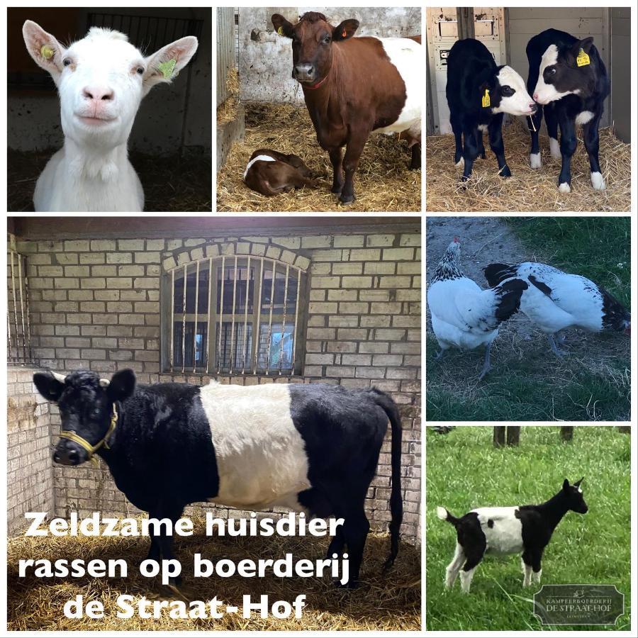 Bed and Breakfast Herberg Boerderij De Straat-Hof Leimuiden Exterior foto